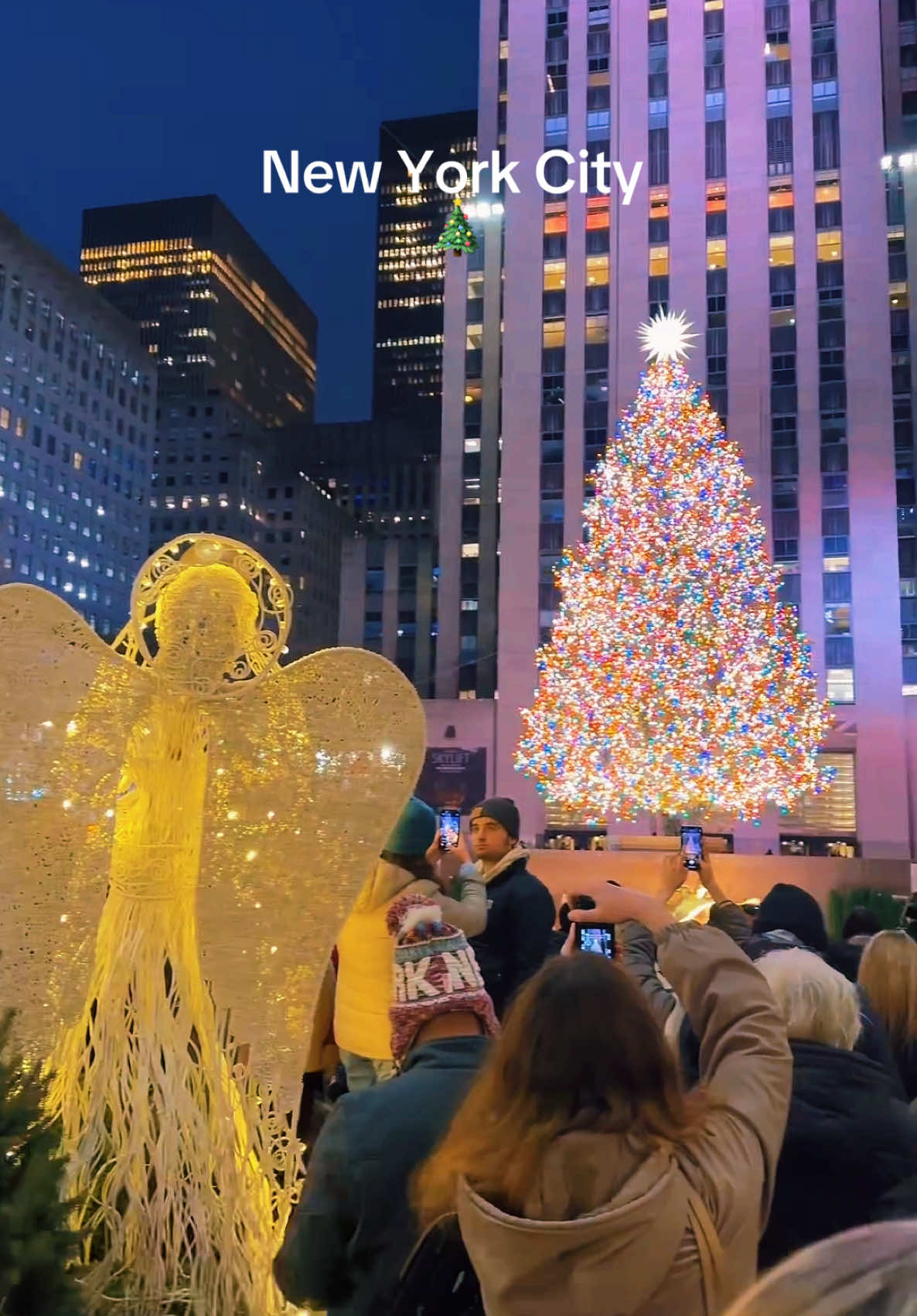 New York City #LIVEhighlights #TikTokLIVE #LIVE #christmastiktok 