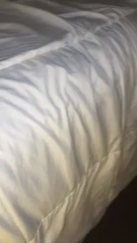 #Inverted 