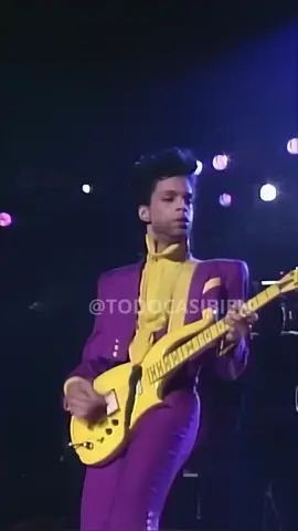 PurrPle Shred ))))))))))))))#Shred