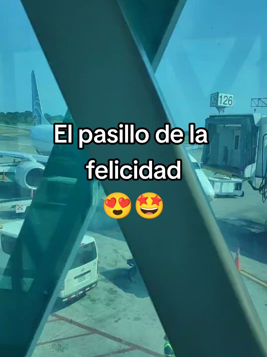 El mejor pasillo🤩😍✈️ #viaje #viralviaje #pasilloavion #pasilloviaje 