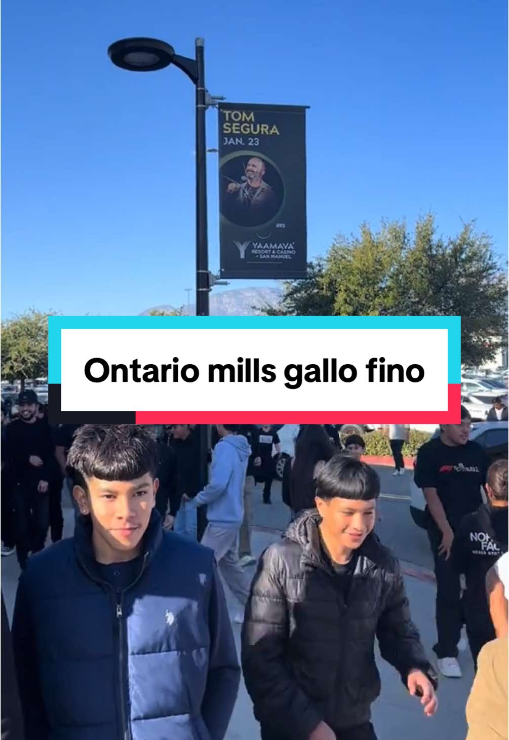 #gallofino #backpack #viral #titodoublep #pesopluma #ontariomills #marcaregistrada  #