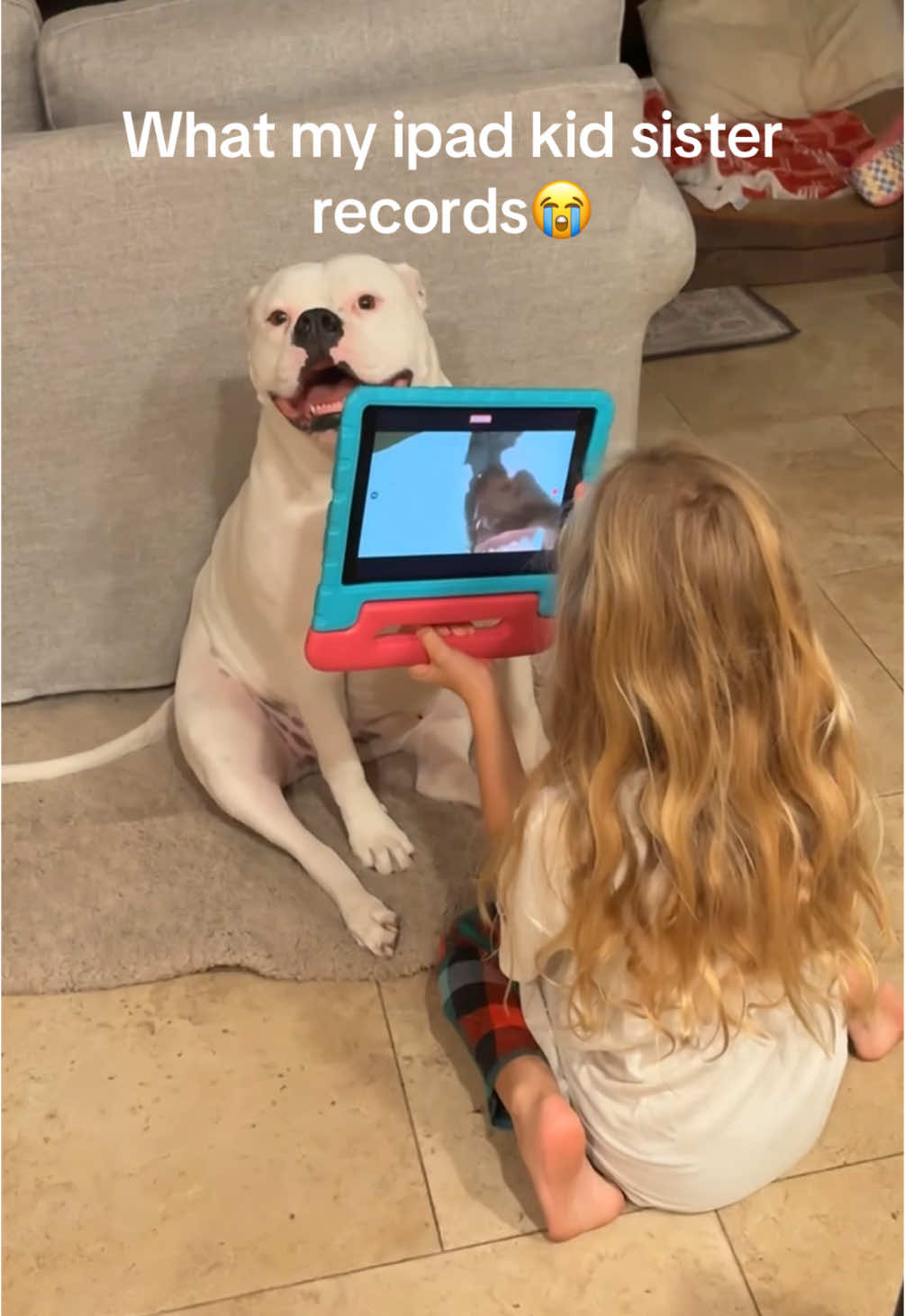 IM CRYING HOW DID SHE GET THE IPAD SO FAR IN HER MOUTH😂😂 #rizz #skibidi #ipadkid #funny #video #ipad #biggie #biggiesmalls #americanbulldog #frenchbulldog #bulldog #bully #dogtok