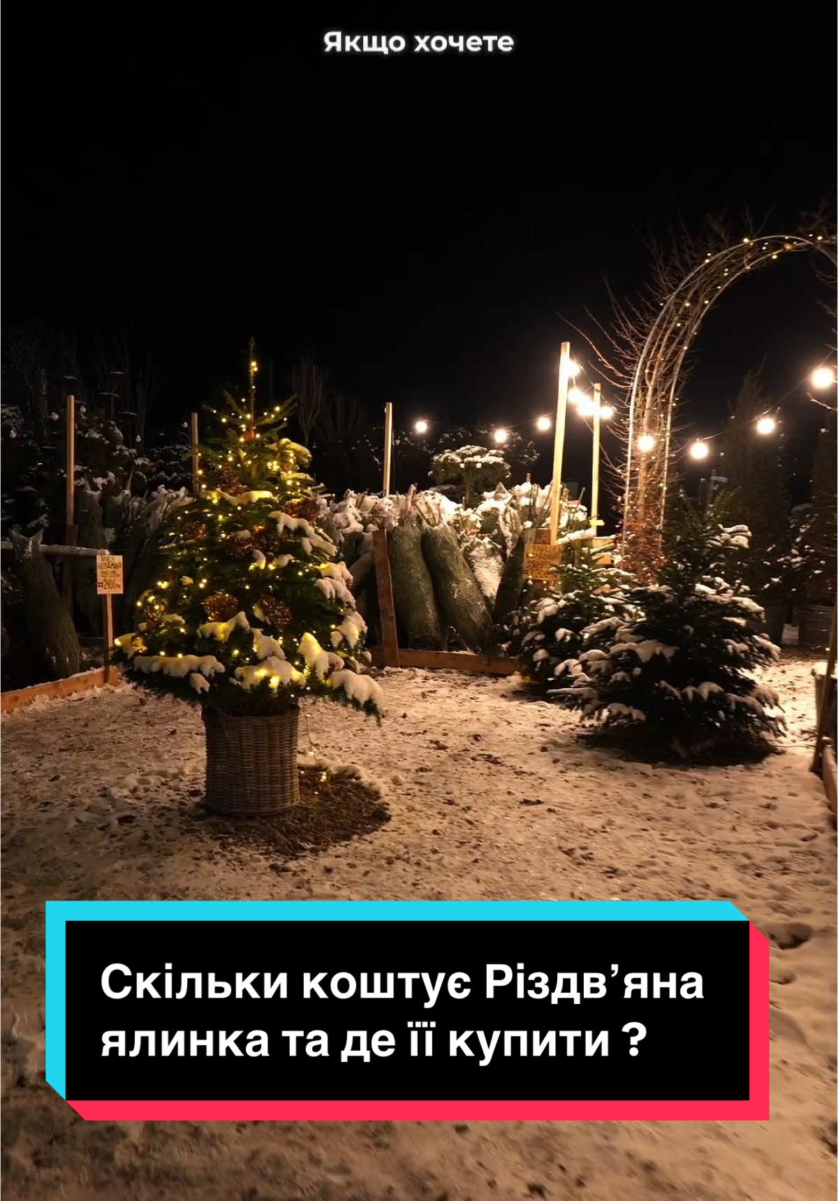 ви створюєте неймовірну красу для  Українських родин 🌳 справжні профі @Etis.lc  📍м.Вінниця, провулок Малиновий [ на перемичці ] #сад #вінниця #ялинка #ландшафт #дизайн #київ #різдво #подарунок #ліс 