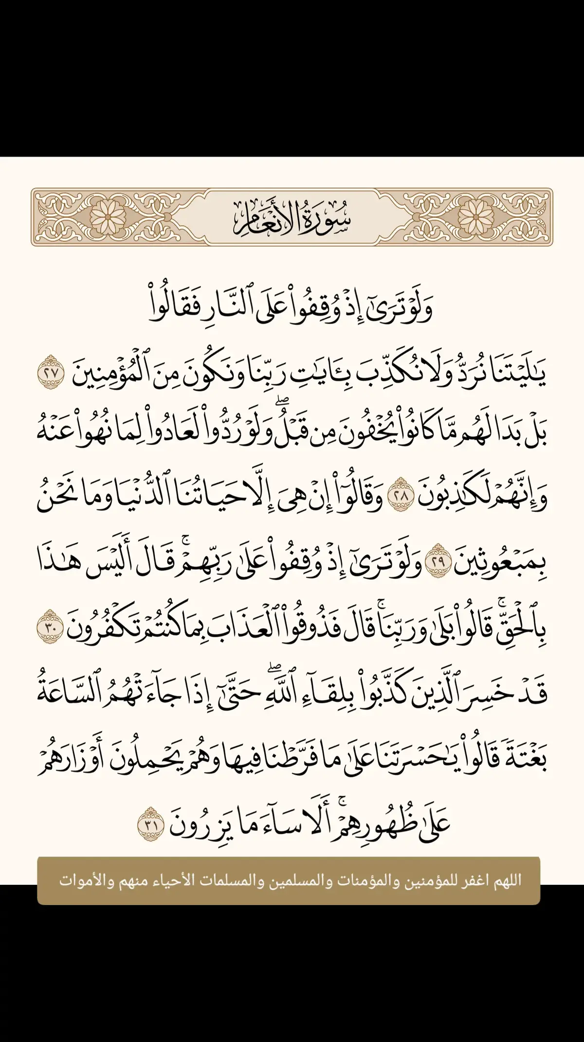 #قران_كريم #ارح_سمعك_بالقران #ارح_قلبك_المتعب_قليلاً🤍💫 #القران_الكريم_راحه_نفسية😍🕋 