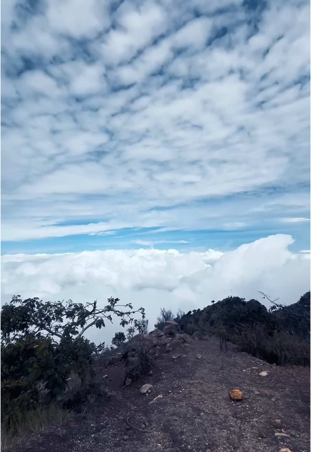 gajadi tembok🗿🫴🏻 #gunungsumbing #chase #sumbingviagajahmungkur #puncakrajawali #mountain #pendakiindonesia 