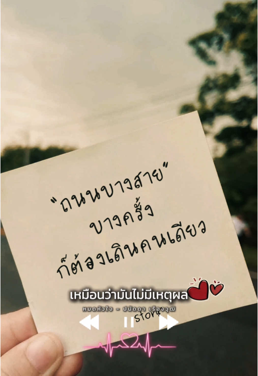 เหมือนฉันเป็นแค่คนอ่อนไหว#หมดหัวใจ #ปนัดดาเรืองวุฒิ #เพลงเพราะ #เพลงเพราะโดนใจ #music #สตอรี่ความรู้สึก #CapCut 