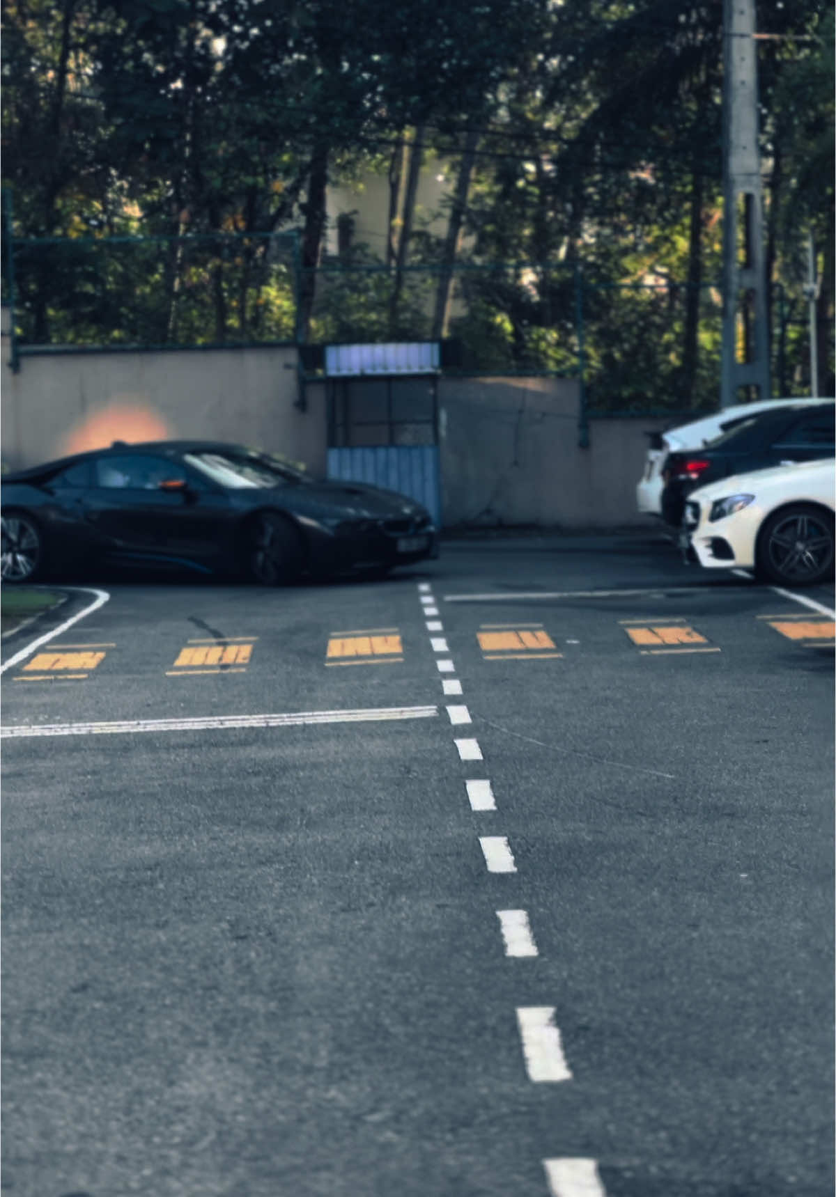 එයානම් How to train your dragon එකේ Toothlessම තමා.. #sajithlakshan #teamvision #bmwi8 #toothless 