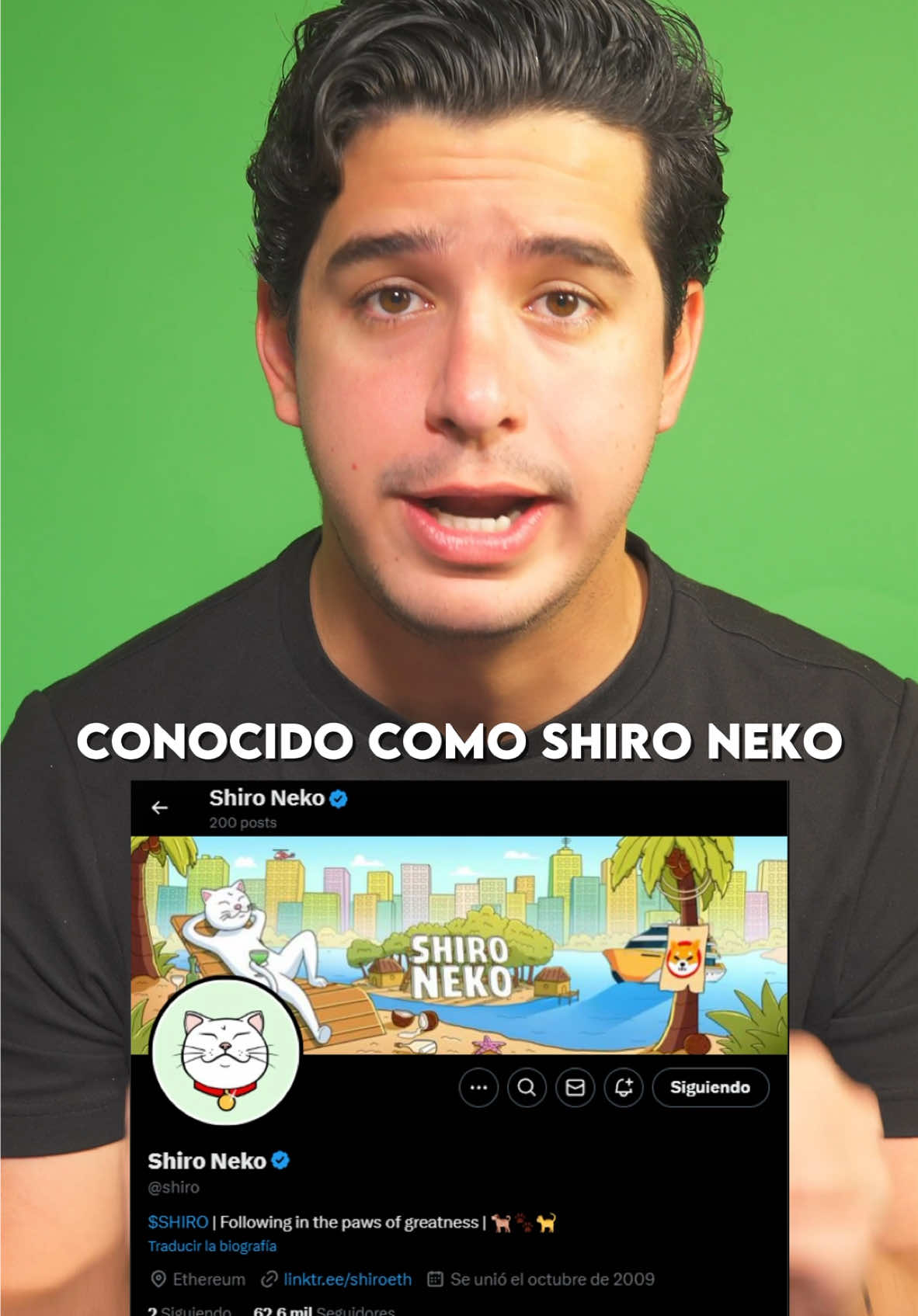 Shiro Neko esta respaldado por $SHIB por lo cual promete desde 50x hasta 70x en este BULLRUN 🚀🐱 #finanzas #conocimiento #ganancias #dinero 