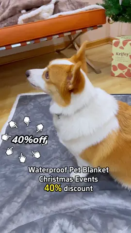 A great Christmas gift for a warm winter! Pet blankets are 40% off for a limited time!#PetsOfTikTok #blanket 