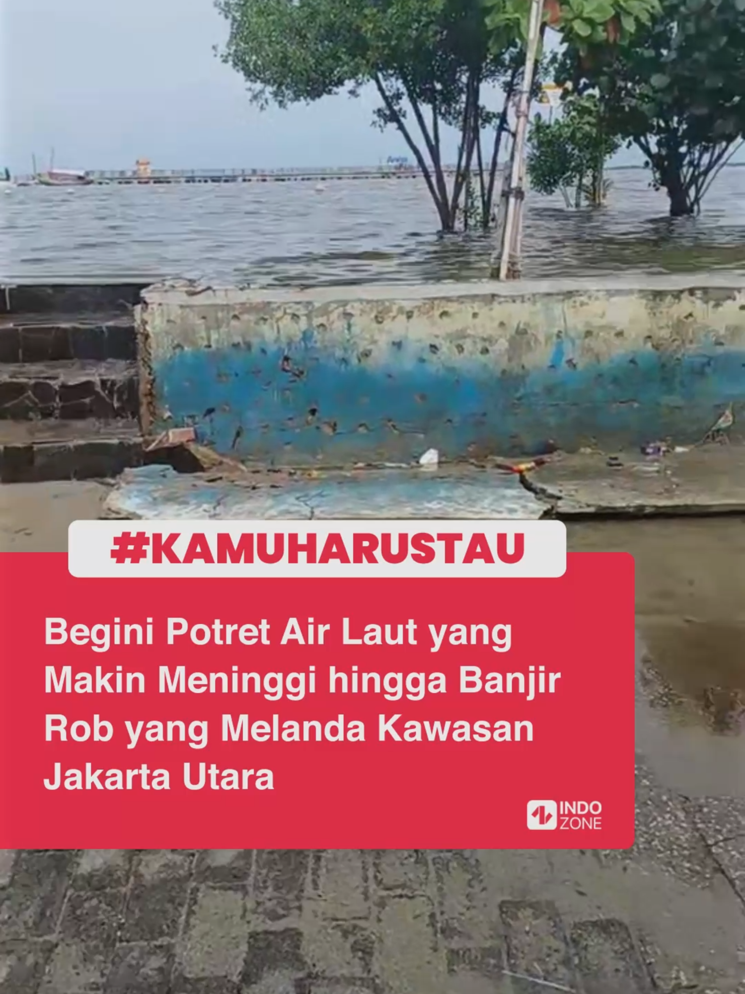 Pemilik akun TikTok ramdani9625 memperlihatkan potret air laut yang semakin meninggi dari daratan di wilayah pesisir Jakarta Utara. Air laut nampak terus terhempas angin hingga keluar dari dinding pembatas. Kondisi ini tentu membuat warga takut, apalagi di musim hujan saat ini. Beberapa hari belakangan, sejumlah lokasi di di Jakarta Utara seperti Muara Angke, Pelabuhan Sunda Kelapa, kawasan Ancol, Jalan RE Martadinata, Kapuk Muara dan lainnya terendam banjir rob atau banjir pesisir. Banjir rob membuat sejumlah warga terpaksa mengungsi, apalagi mereka yang rumahnya bukan model panggung, sehingga air hingga ketinggian 60 cm masuk ke dalam rumah. Banjir rob juga menyebabkan perjalanan kereta jurusan Jakarta Kota ke Tanjung Priok dan sebaliknya terpaksa dibatalkan pada Senin pagi. Namun kini, jalur sudah bisa dilalui dengan kecepatan maksimum 5 kilometer per jam. Sebelumnya Badan Meteorologi Klimatologi dan Geofisika telah mengeluarkan peringatan dini banjir rob pada pada tanggal 11 Desember - 20 Desember 2024. Banjir ini terjadi akibat adanya fenomena pasang maksimum air laut bersamaan dengan fase bulan baru yang berpotensi meningkatkan ketinggian pasang air laut maksimum berupa banjir pesisir (Rob) di wilayah pesisir utara Jakarta. Video: TikTok/ramdani9625 [Baca berita dan informasi menarik lainnya hanya di www.indozone.id]