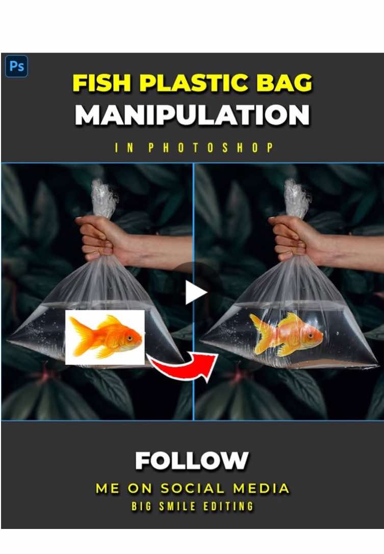 Amazing photoshop trick - fish plastic bag photo manipulation #photoshoptricks #tutorials #designer #tutorial #photoshop #photography #adobe #adobephotoshop #bigsmileediting