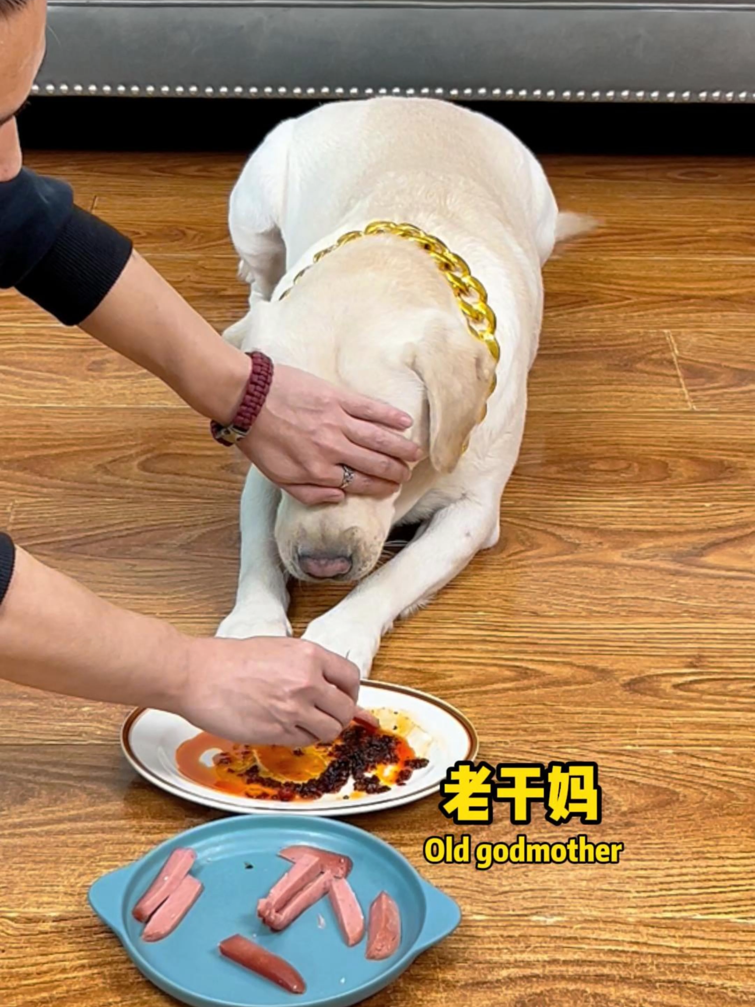 汤圆：我说怎么嘴里有点火热！I said why my mouth is a little hot!#萌寵 #搞笑 #拉布拉多 #doglover #Labrador #寵物 #labradorpuppy #funnydog #cute #pets #dog #funnyvideo #funnydog​​​​​​​​​​ #funny