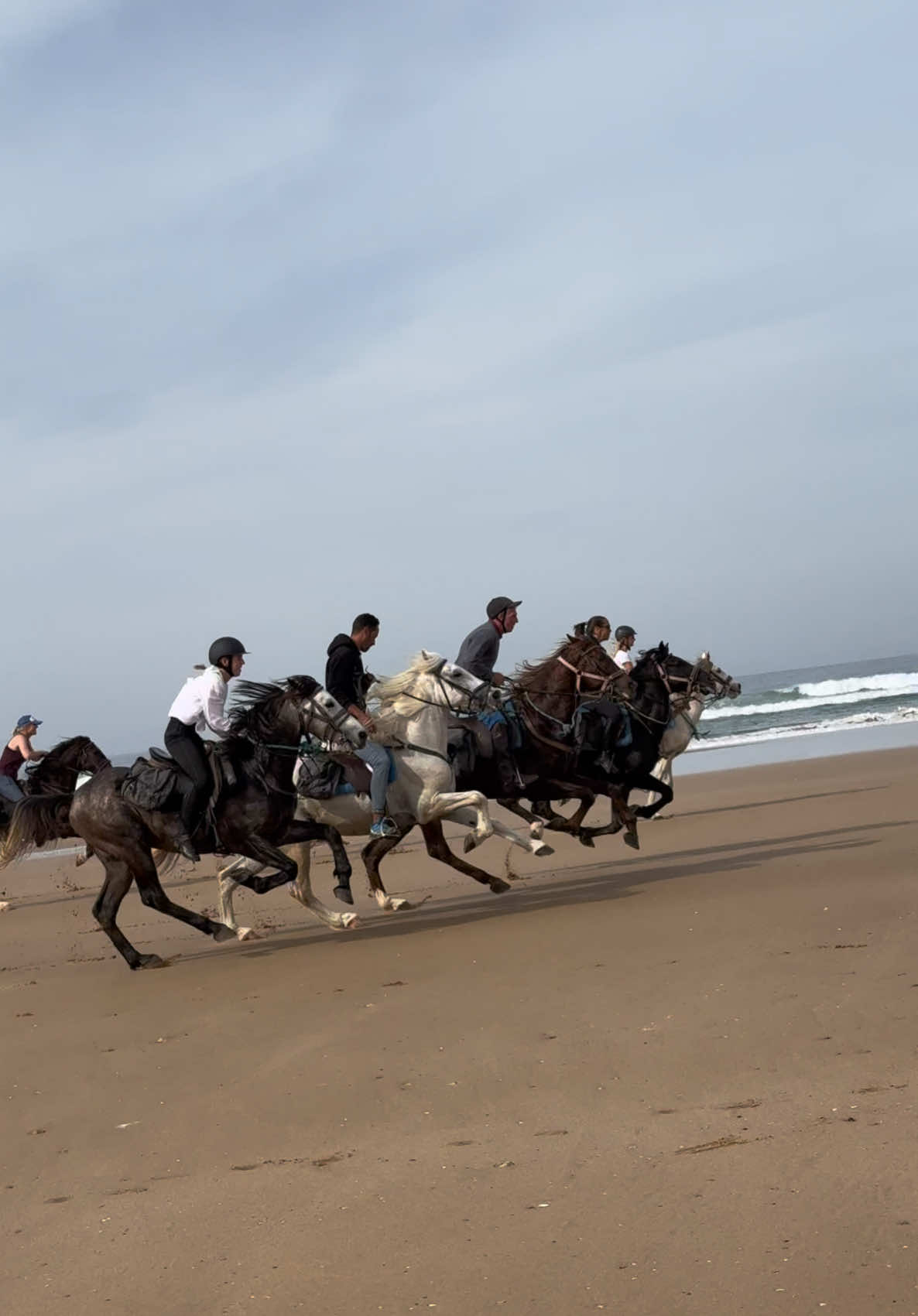 ADRENALINE 🤩 #horseriding #horse #gallop #fyp #marocco #adrenaline 