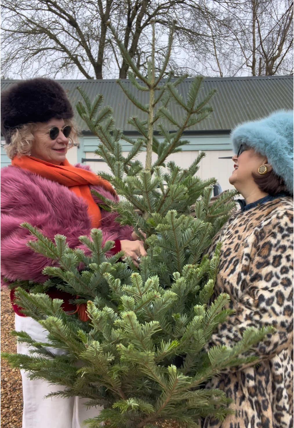Jane and Beryl fetch a very large Christmas tree! Jane wears preloved Free People jacket, Free People jeans (spnsored content); Beryl wears pre-loved M&S coat #christmas #tree #christmastiktok #fashion #styleinspo #friends #janeandberyl #december #winter #countrylife #winteroutfit #vintage @Free People 