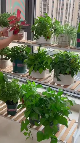 Repotting Mat for Transplanting & Potting Soil Mess Control, 26