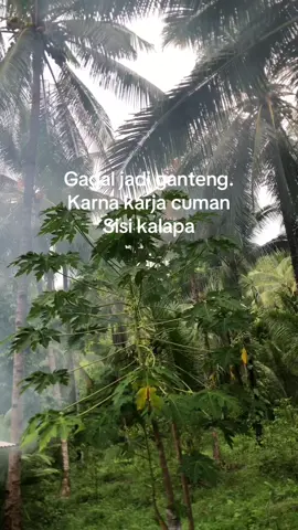 #burupride🌴🔥 sisi kalapa🫣