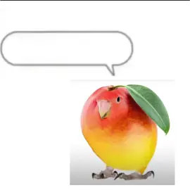 #CapCut #mangobird #brainrot #meme #fyp #thosewhoknows #sigma #skibiditoilet 
