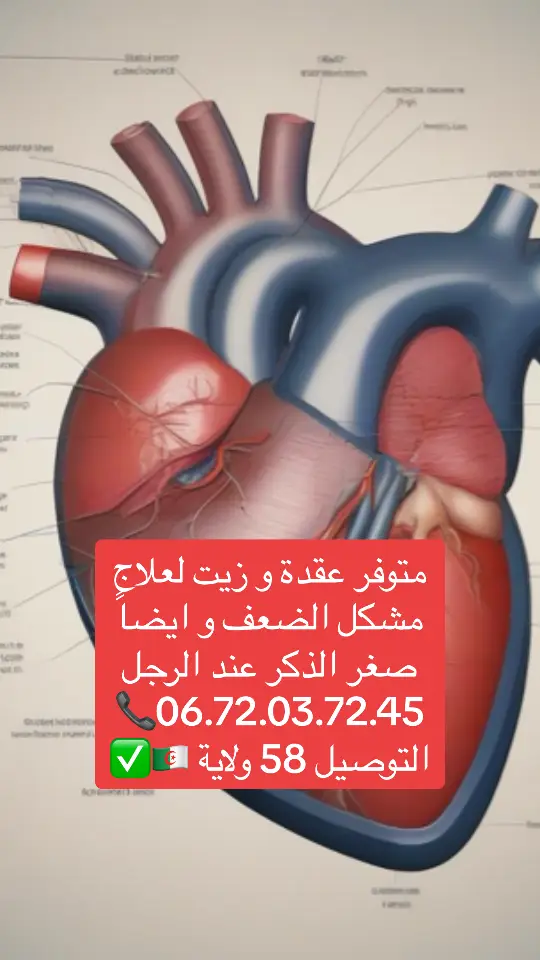 #أمراض_القلب #صحة_القلب #HeartDisease #Cardiology #ضغط_الدم #HeartHealth #نمط_حياة_صحي #تصلب_الشرايين #الوقاية_خير_من_العلاج #HealthyLiving أمراض القلب تشمل مشاكل مثل تصلب الشرايين، النوبات القلبية، وارتفاع ضغط الدم، وتتطلب اهتمامًا بنمط الحياة والتغذية الصحية.