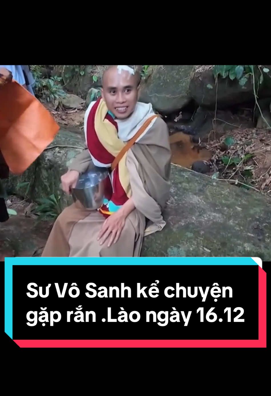 Sư Vô Sanh kể chuyện gặp rắn .Lào ngày 16.12 #thầyminhtuệ #minhtuệ #thichminhtue 