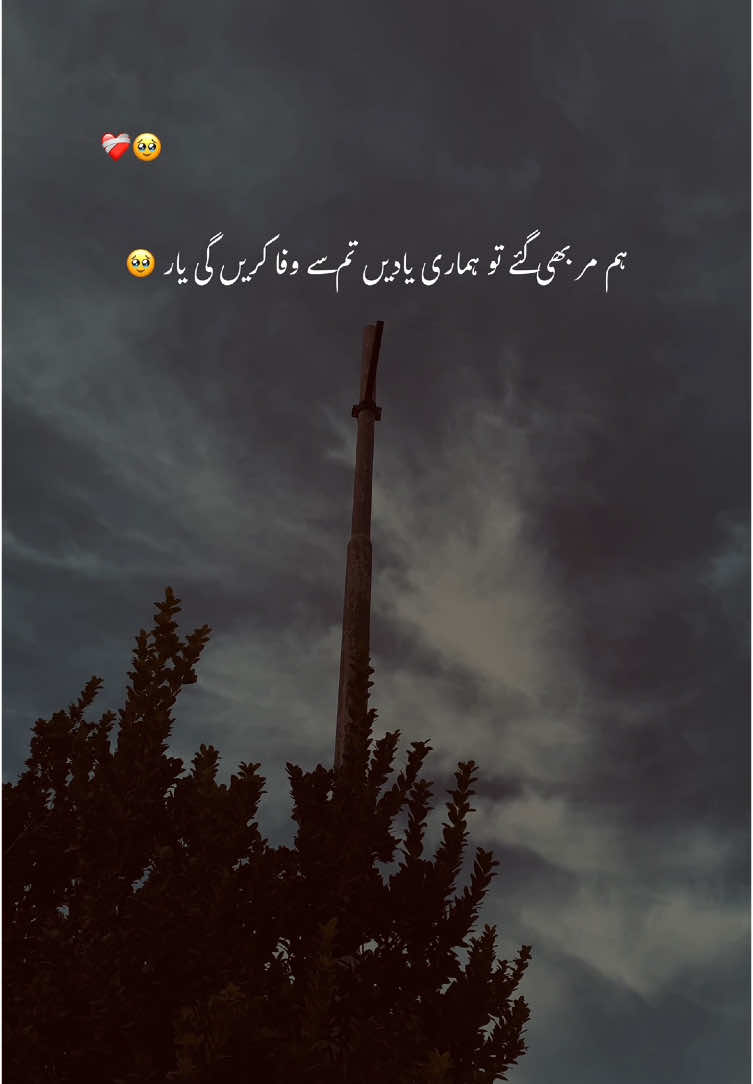 یہ نہ سمجھنا کہ دوست بنایا تھا صرف وقت گزاری کے لیے ❤️‍🩹🥹#aesthetic #poetry #poetrystatus #grow #account #foryou #foryoupage #1million #umer_vibes004 