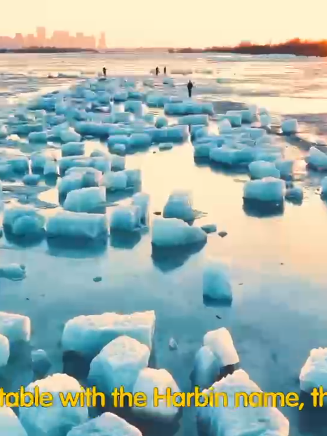 Chine# le festival de collecte de glace à Harbin (la ville de glace), Heilongjiang