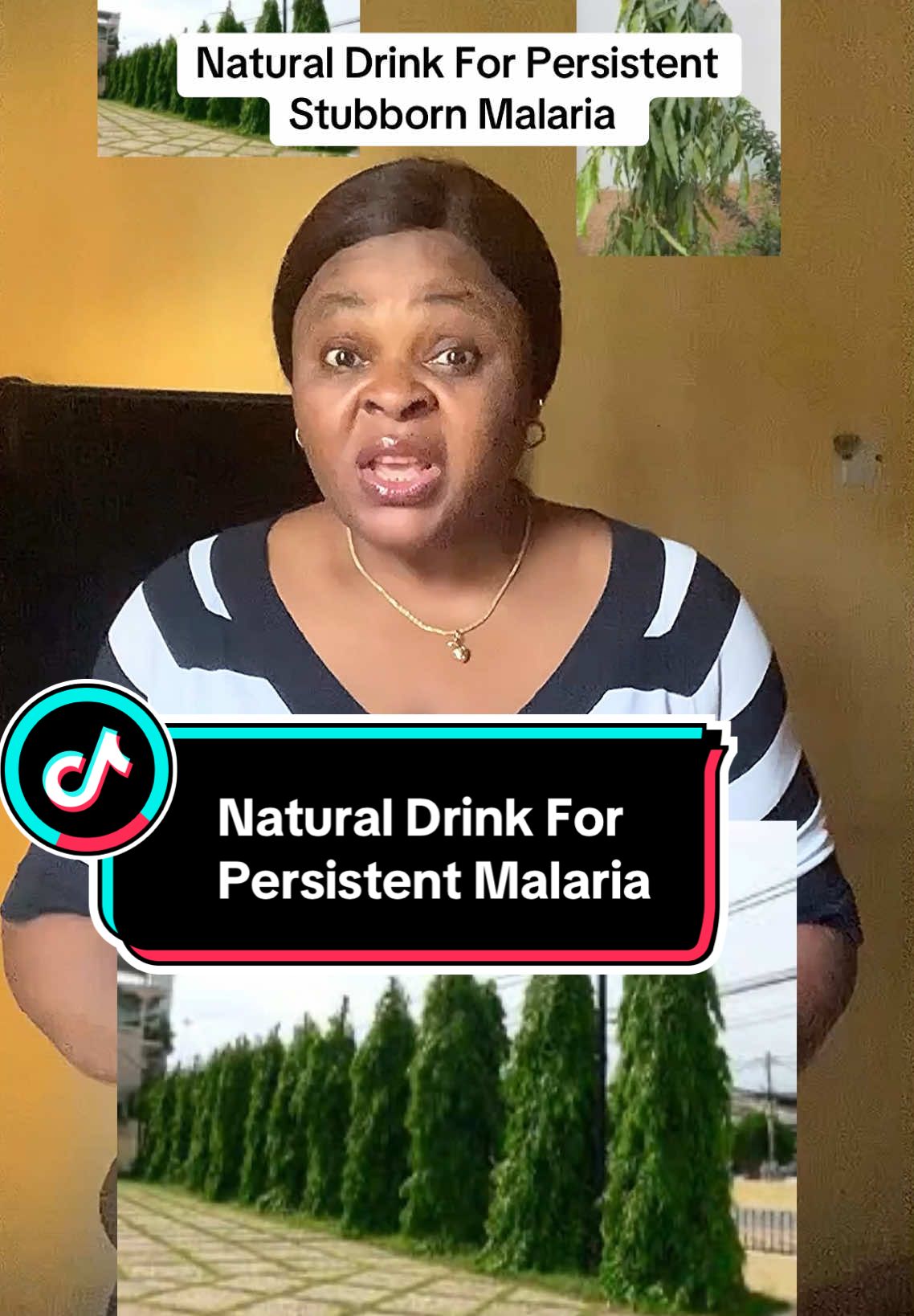 Natural remedy drink for stubborn malaria. #malaria #naturalremedy #nonnybae0 