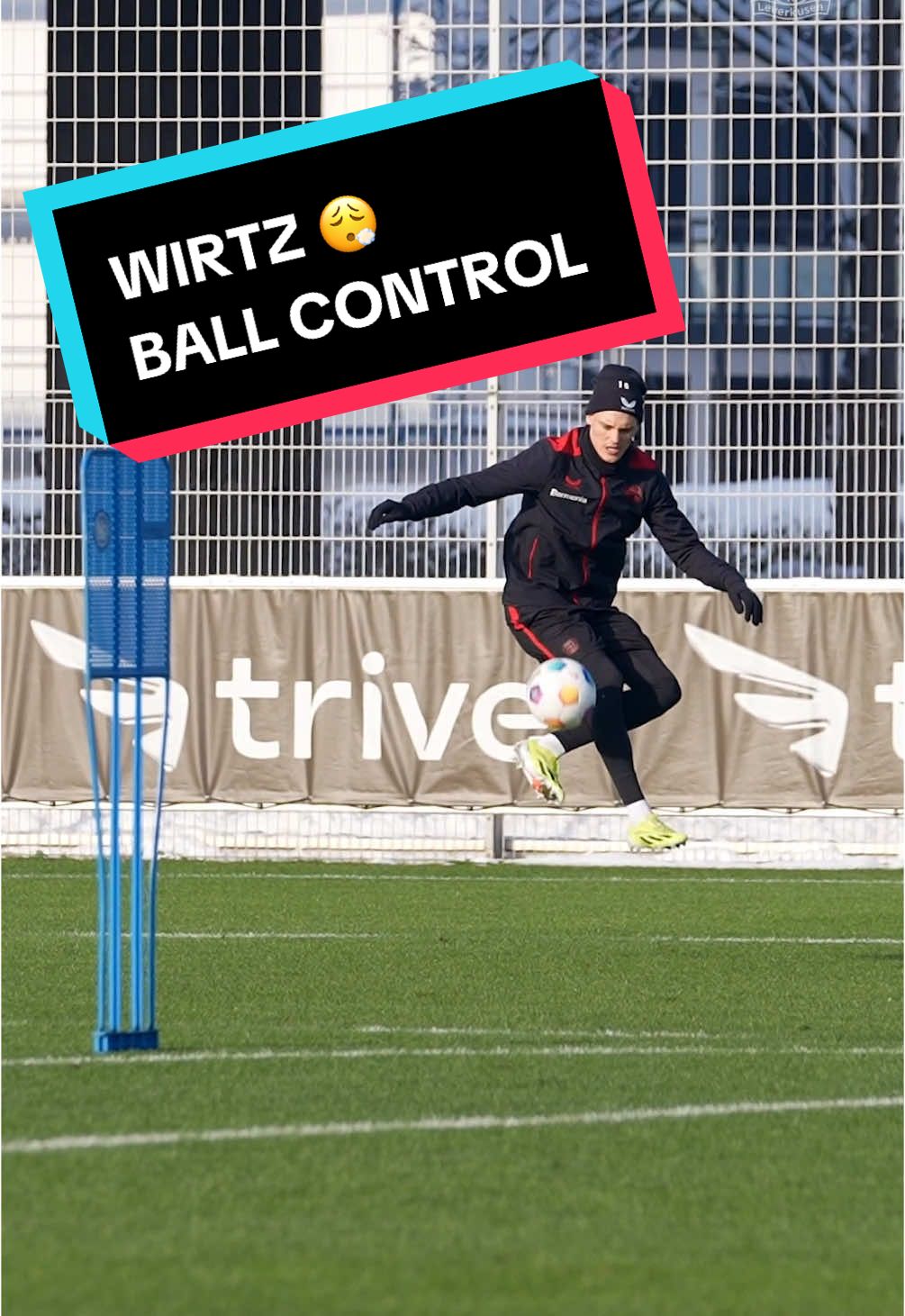 😍🥶 Florian Wirtz ball control is another level. #Wirtz #Bundesliga #Bayer04 #Leverkusen  