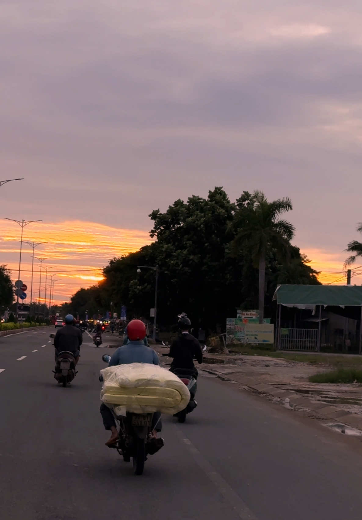 Hoàng hôn xứ dừa #bentre71🌴🥥 #xuhuong #fyp 