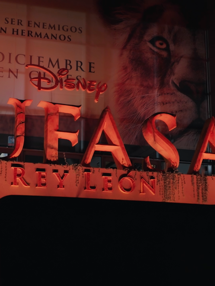 Un auténtico rey merecía ser recibido así. 🦁 #Mufasa: El Rey León. ¡20 de diciembre solo en cines! #QueVer #CineEnTikTok