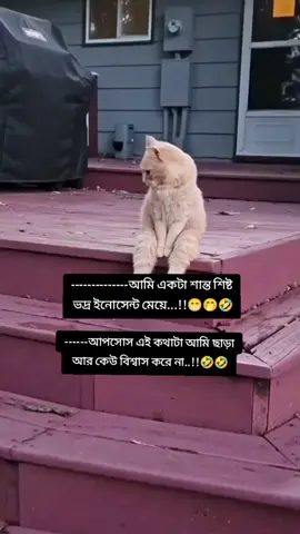 #foryou #foryoupage #tranding #bdtiktokofficial #viralvideo #ফানি_ভিডিও #pyfツ #pyyyyyyyyyyyyyyyyyyyyyyyyyyyyy 