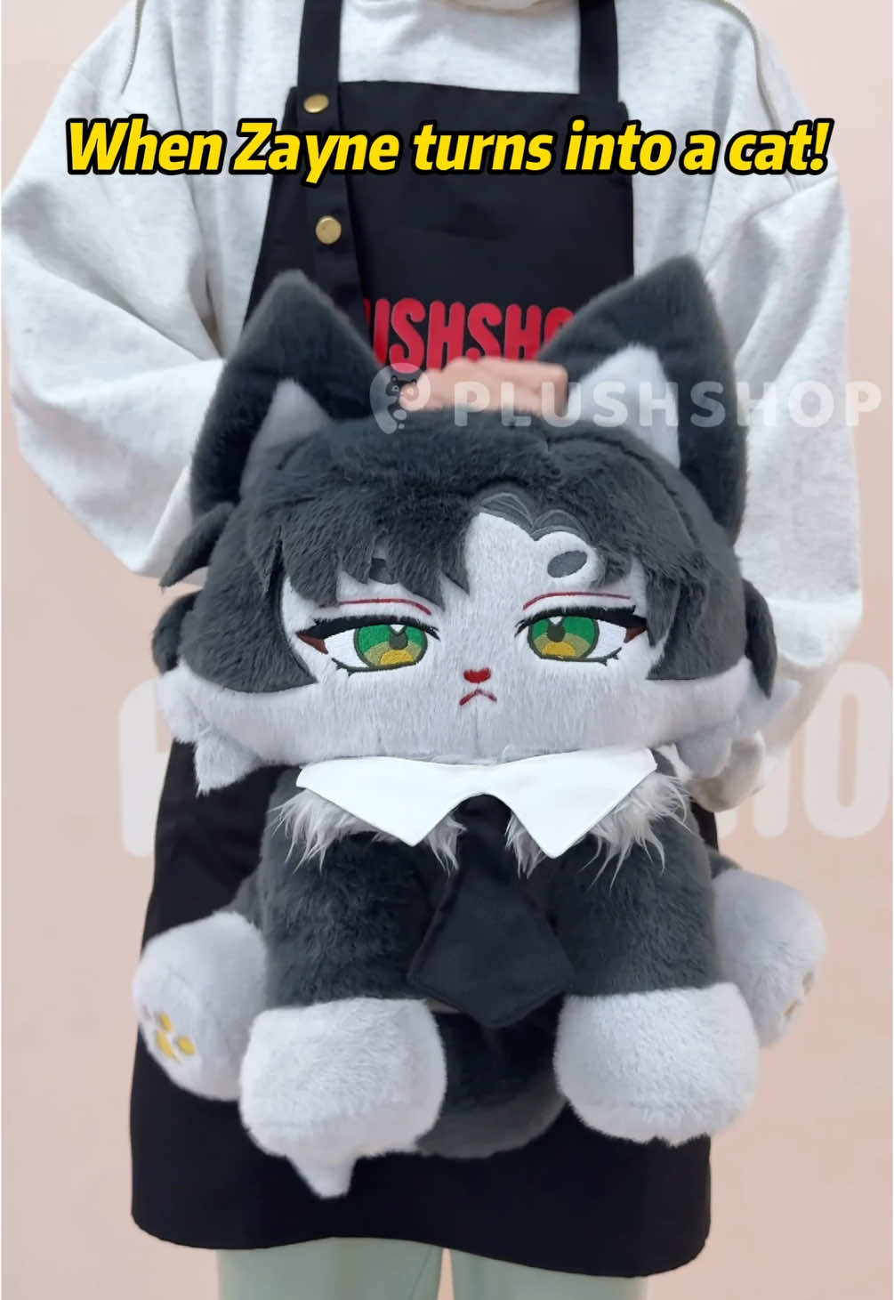 When Zayne turns into a cat! #zayne #zayneloveanddeepspace #loveanddeepspace #lightandnight #mrlovequeenschoice #tearsofthemis #otome #otomegame #plushies #plush #game #animeedit #fyp 