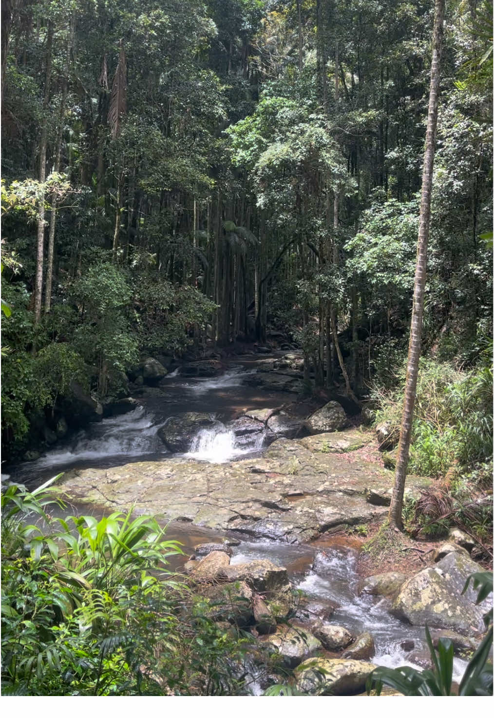 Beautiful views ☀️🤍 #viral #australia #aesthetics #trending #fyp #lifeinaustralia #like #Love #tiktok #beautiful #contentcreator #viral_video #reels #foryoupage #foryou 