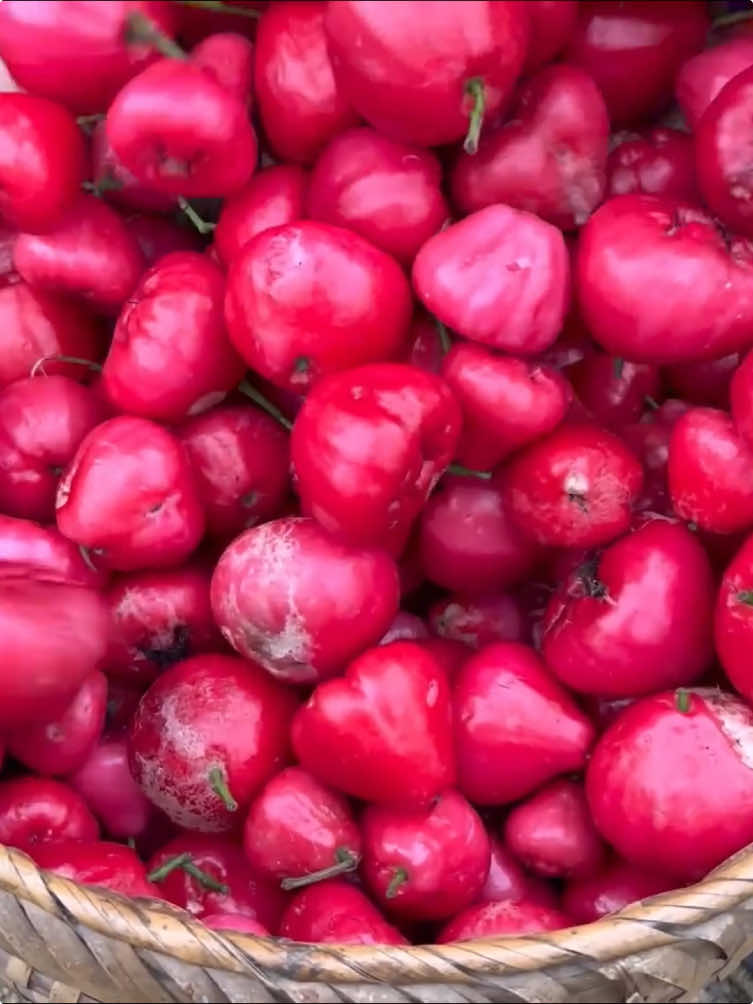 Harvest red whip fruit #garden #farming #harvest #vegetables 