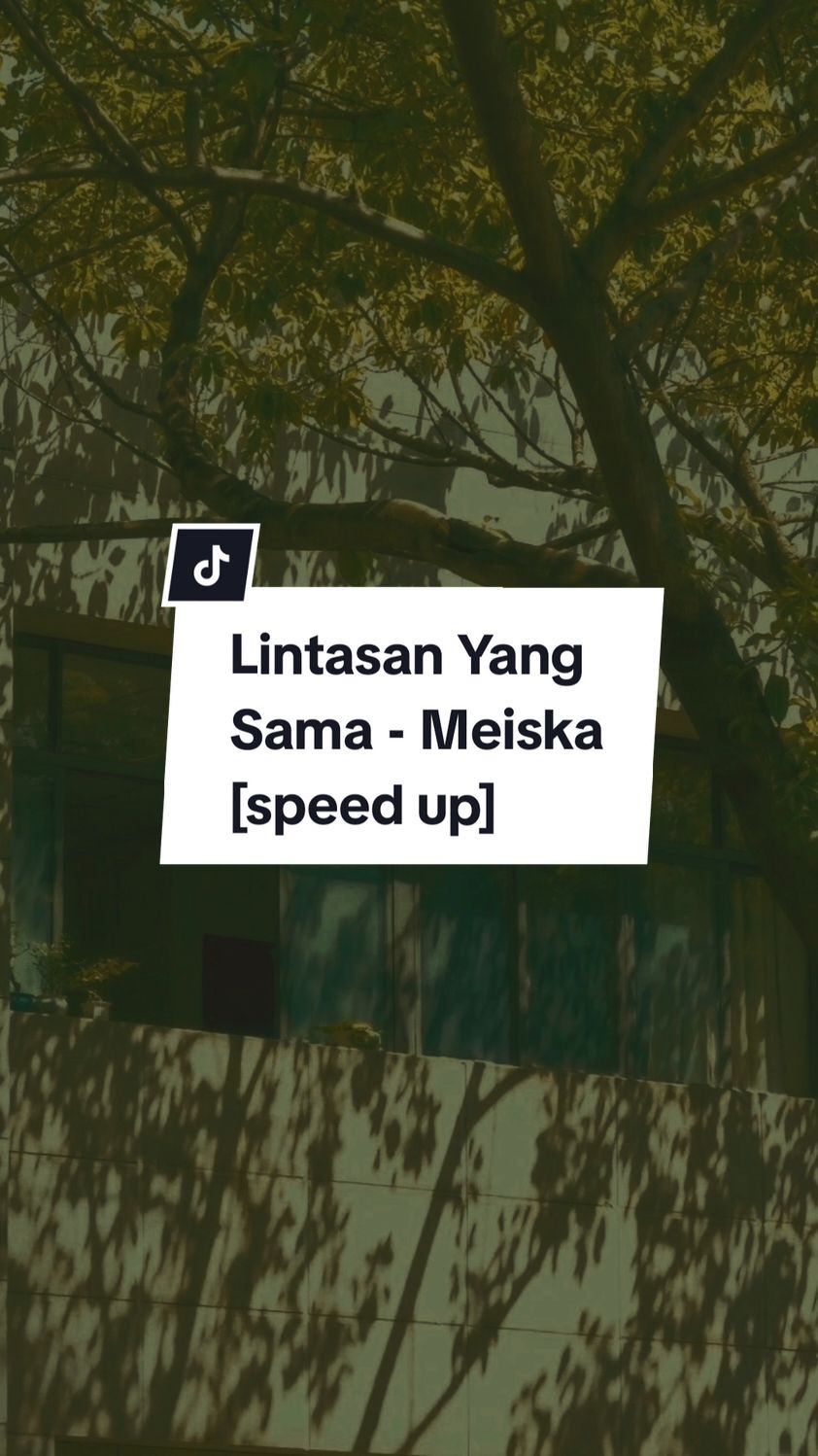 ″Tak mungkin ku jadi jawara di lintasan yang sama..″ 🥀 #lintasanyangsama #meiska #speedup #templatelirik #fypageシ #fyp #CapCut 