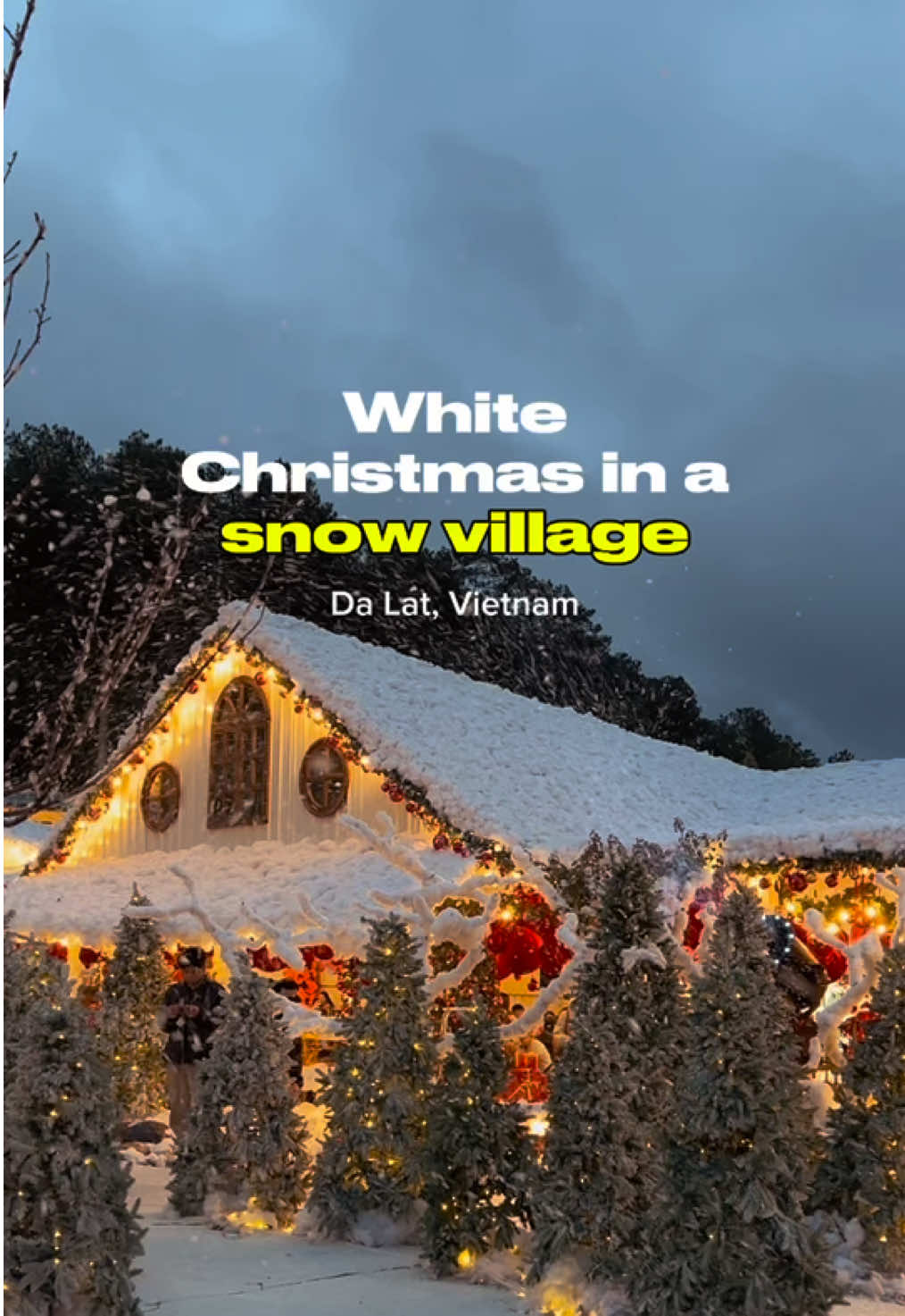 It’s a white Christmas ☃️ #puppyfarmdalat #dalat #vietnam #traveltiktok #christmas #christmaswonderland #snowvillage 