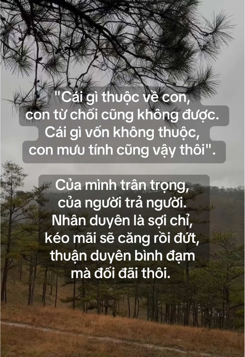 A Di Đà Phật 🙏🏻#phatdaovothuong #phapphucdichua #xh #phatphapnhiemmau #nhannhan #ngoclan #viral #phatphap 🪷