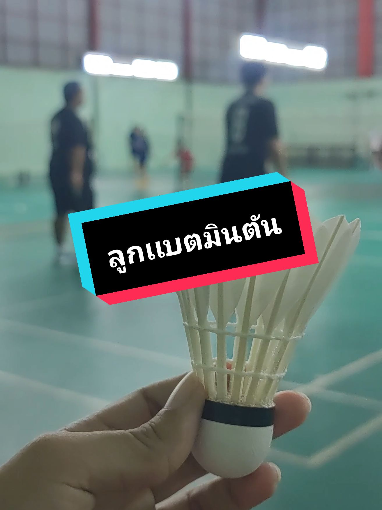ลูกแบตมินตัน RSL DTL81 SPEED 75 #ลูกแบตมินตัน #แบตมินตัน #ลูกแบต 