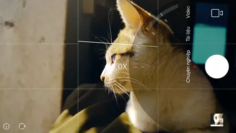 XIAOMI 12S PRO camera. #xiaomi#leica#fyp#xh