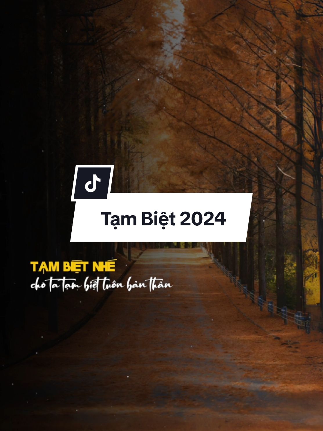 Tạm biệt 2024 không vui và xin chào đón 2025 nhiều hạnh phúc #nhactinhsaulang #nhaclyrics102 #nhacsuybuon #bossnhac #SBTentertainment #2025 