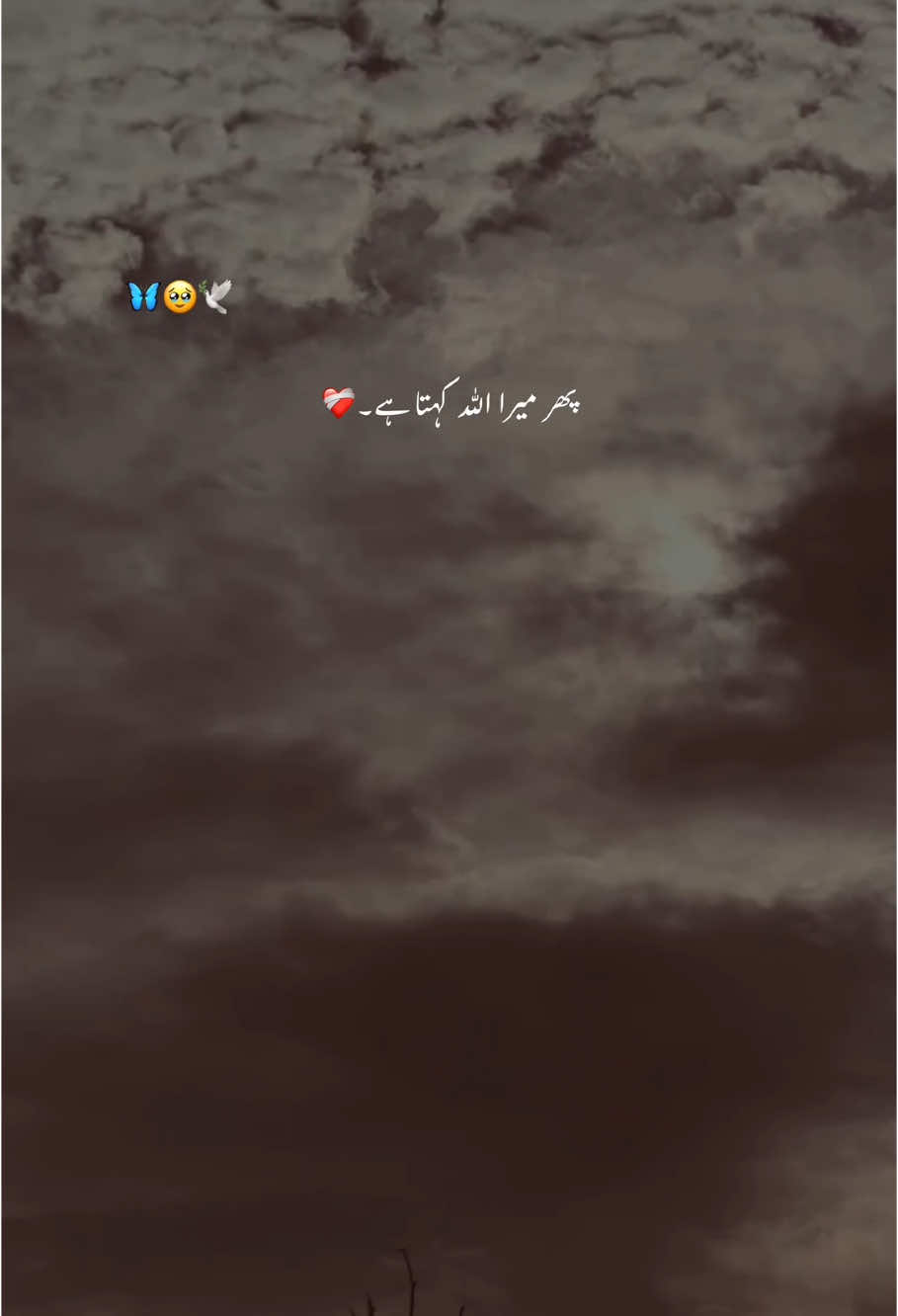 اور میرا اللّٰہ کہتا ہے۔🫀❤️‍🩹 #foryoupage #foryou #trending #aesthetic #account #poetrystatus #grow #hehe_feroz 