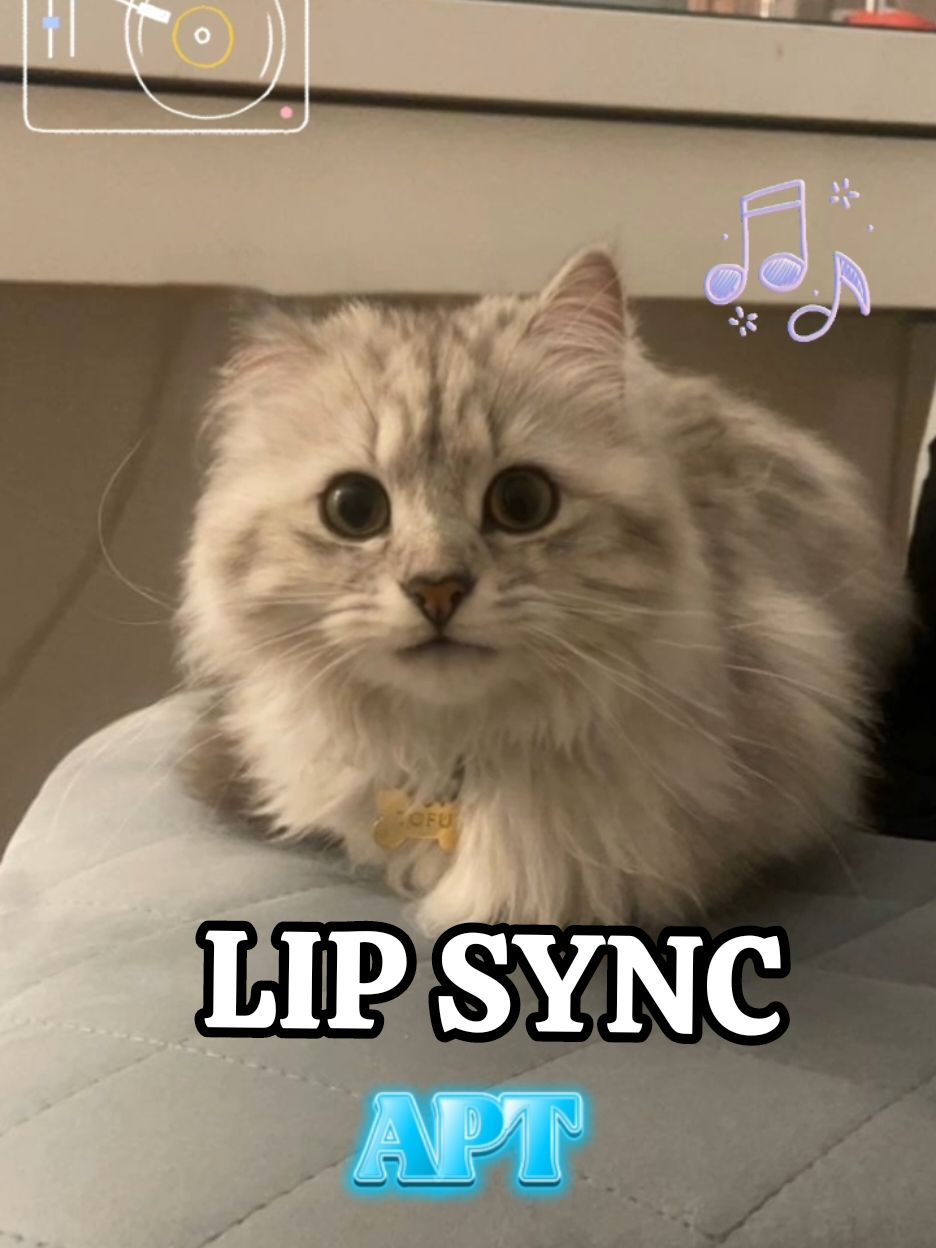 APT LIP SYNC #CapCut #lipsync #cats #apt #favsound #tehniswa #catlipsync #rosebrunomars #globalaidc #aidiscord #fyp 