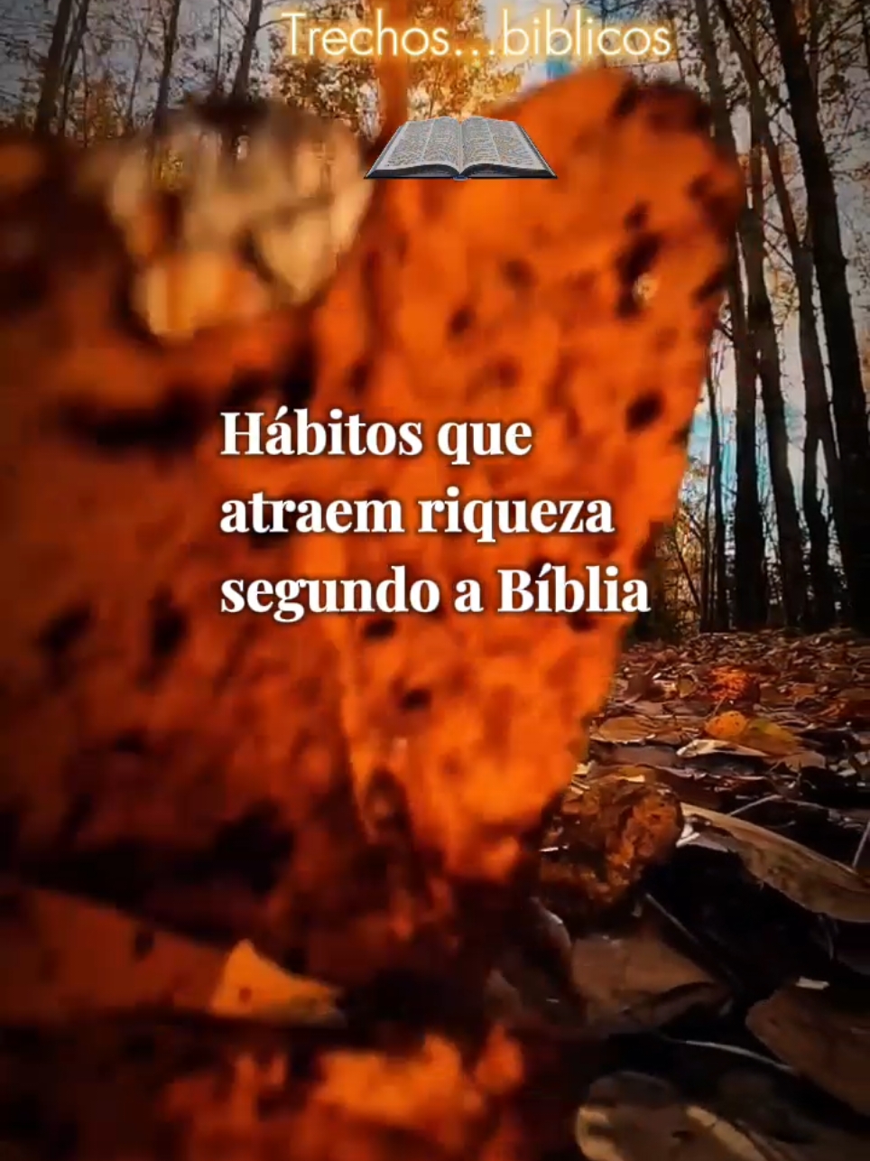 Hábitos para a riqueza, segundo a Bíblia! #oração #benção #gratidão #cristãosnotiktok #versiculosbiblicos #bibliasagrada 