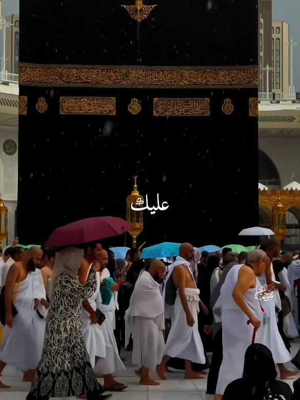 ❤#islamiccontent #islaam #prophetmuhammad  #viral #4r076 #viralfast #allah #allahhuallah  #colorful #fym  #fyp #lighten_soul  #arsthetic #meni_wri8es #fypthis #fyp #goforyou #nasheed #growmyaccount #alllah #kabbah #makkah #madina #muslim #islamic_video #islamicstatus  #gul_ayeshay  #arsthetic #alex_wri8s #islam_stix #haram_wri8s  #menu_wri8es 