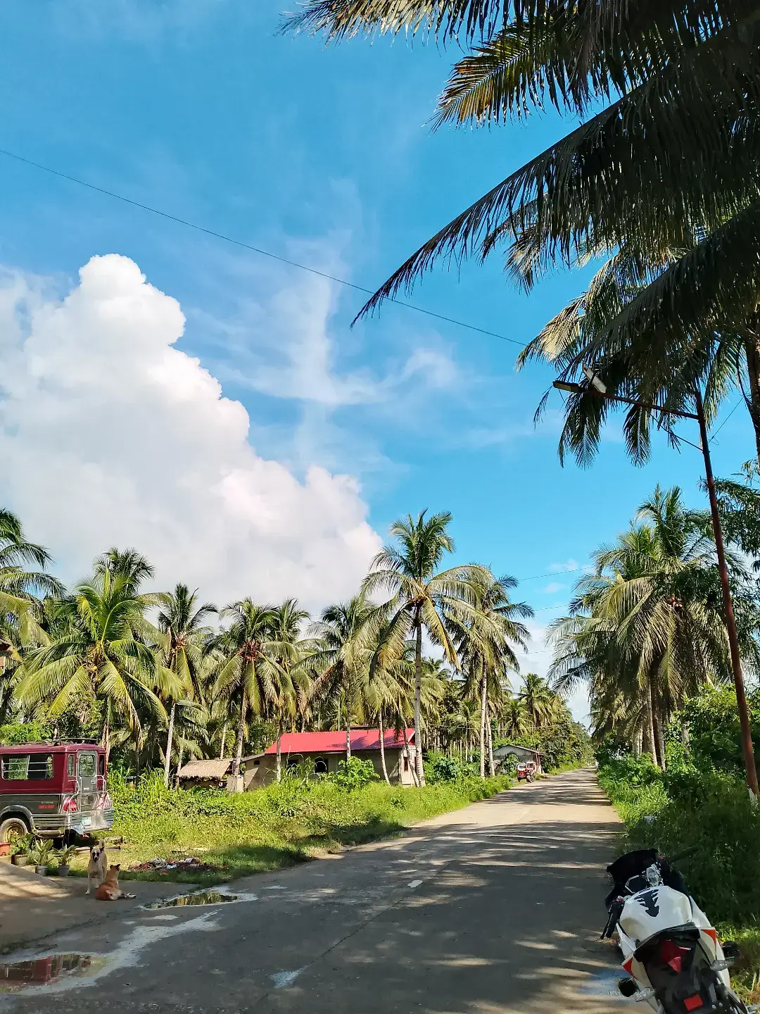 Ganda ng nature🥰