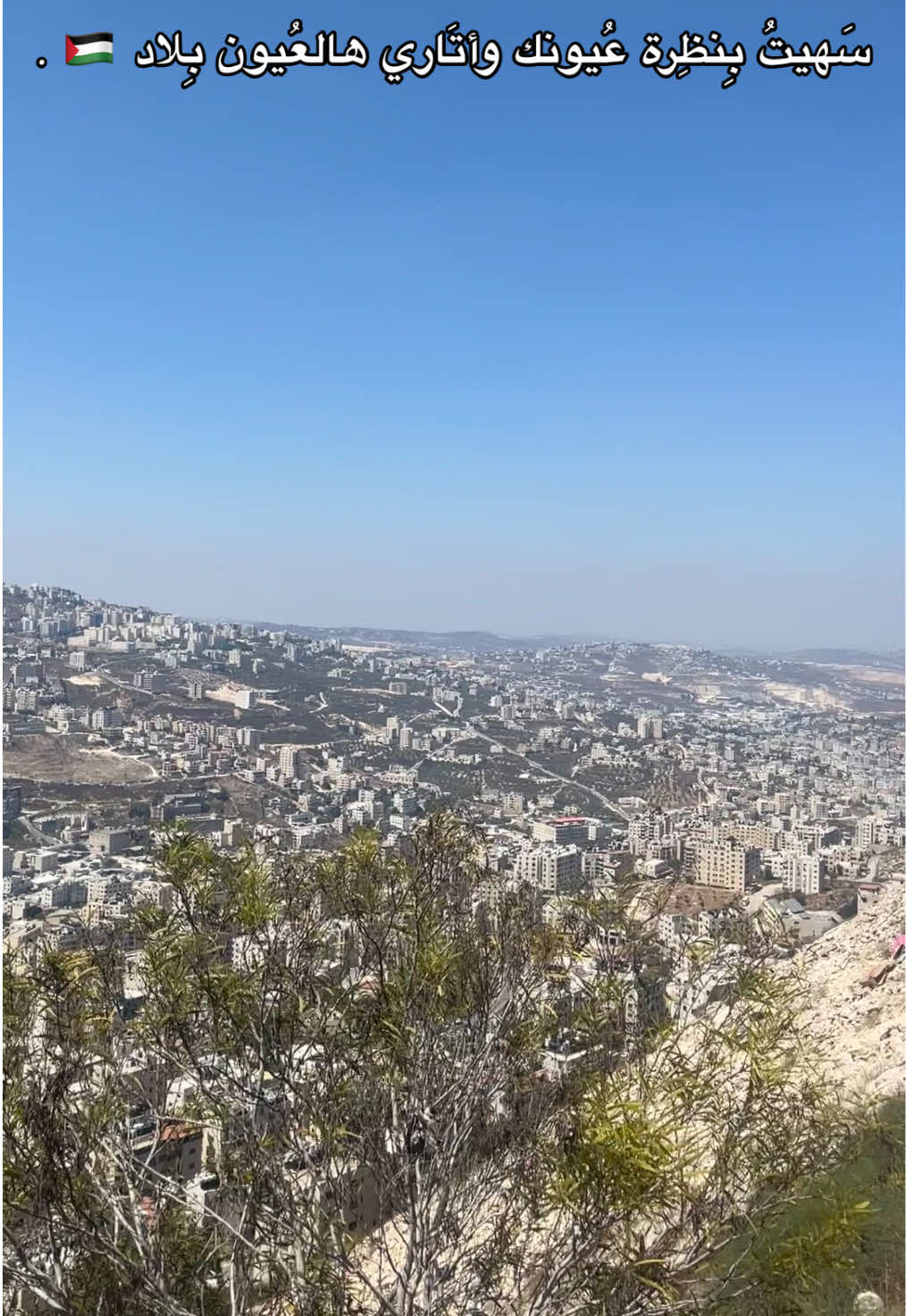 سَهيتُ بِنظِرة عُيونك وأتَاري هالعُيون بِلاد🇵🇸 .