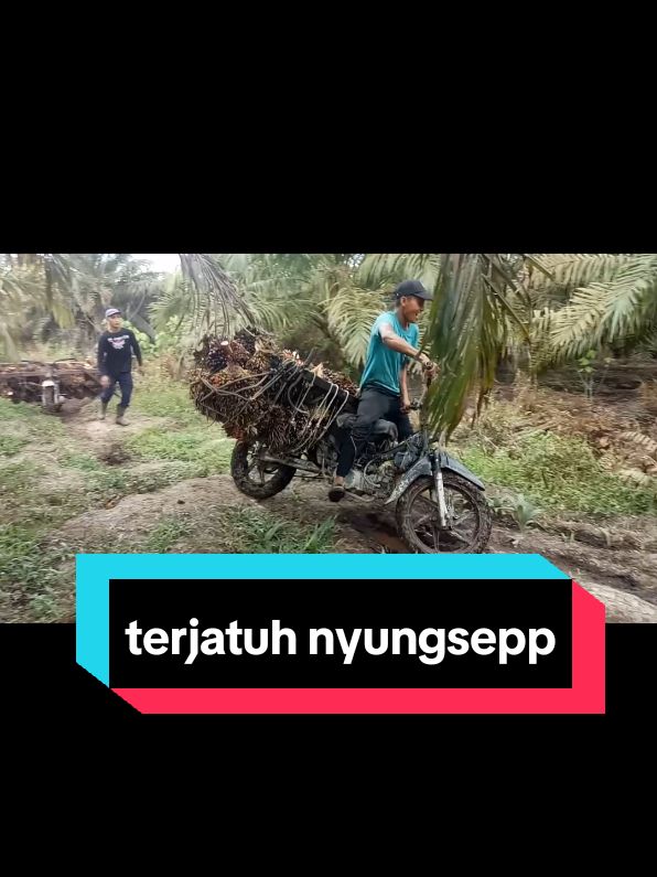 ojek #motorcycle #kreta #motor #offroad #langsir #sawit #ojek 