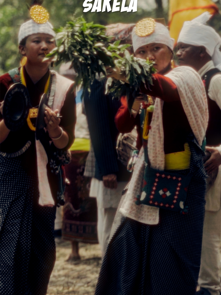 This dance is called Sakela Dance. Sakela is a traditional dance performed by the Kirant Rai community of Nepal to honor Sakela, a deity, and to celebrate the connection between humans and nature. Thank you so much for this beautiful song @Abhaya Subba @Dilli Phombo  #sakela #dance #sakeladance #rai #raiculture #culturetiktok #culture #nepal #nepali #nepalitiktok #fotoculturenp #foryoupage #foryou #fyp #f 