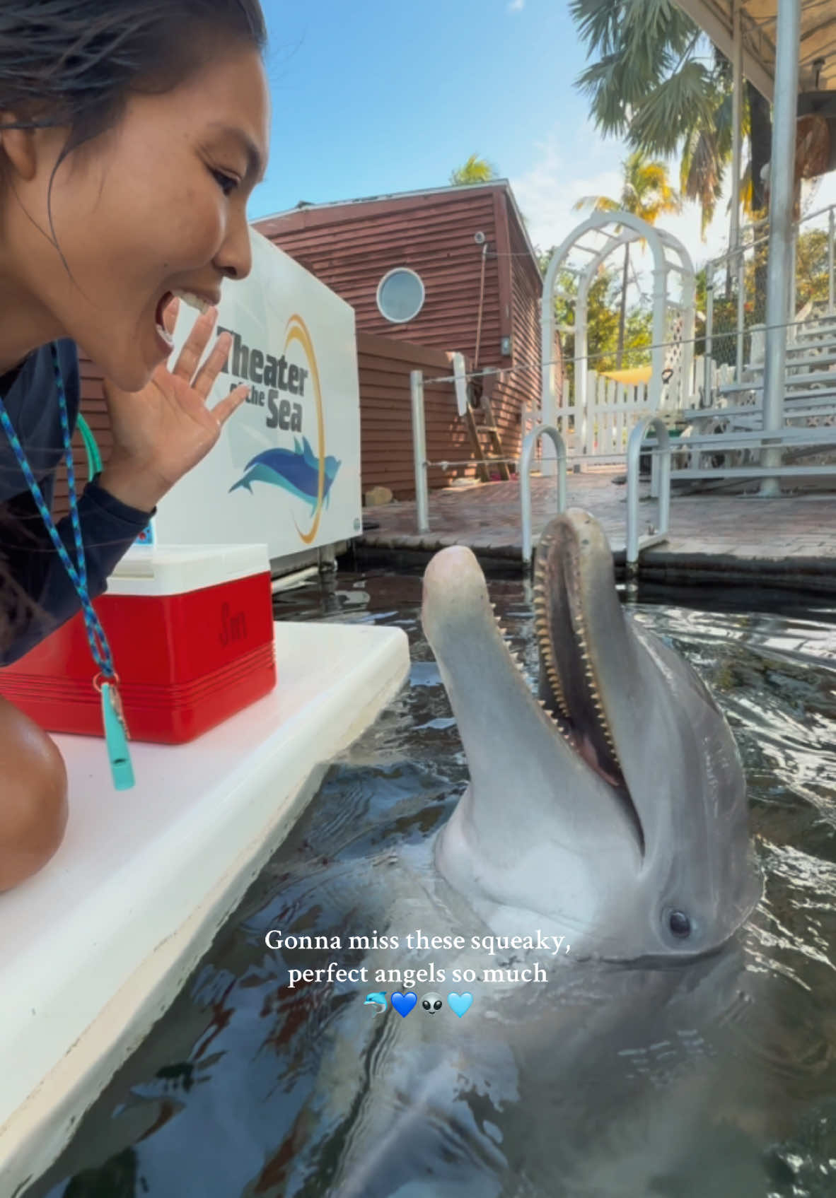 SHERMAN 🐬💙 & KIMBIT 👽🩵 #animals #dolohin #dayinmylife #floridakeys #TheaterOfTheSea 