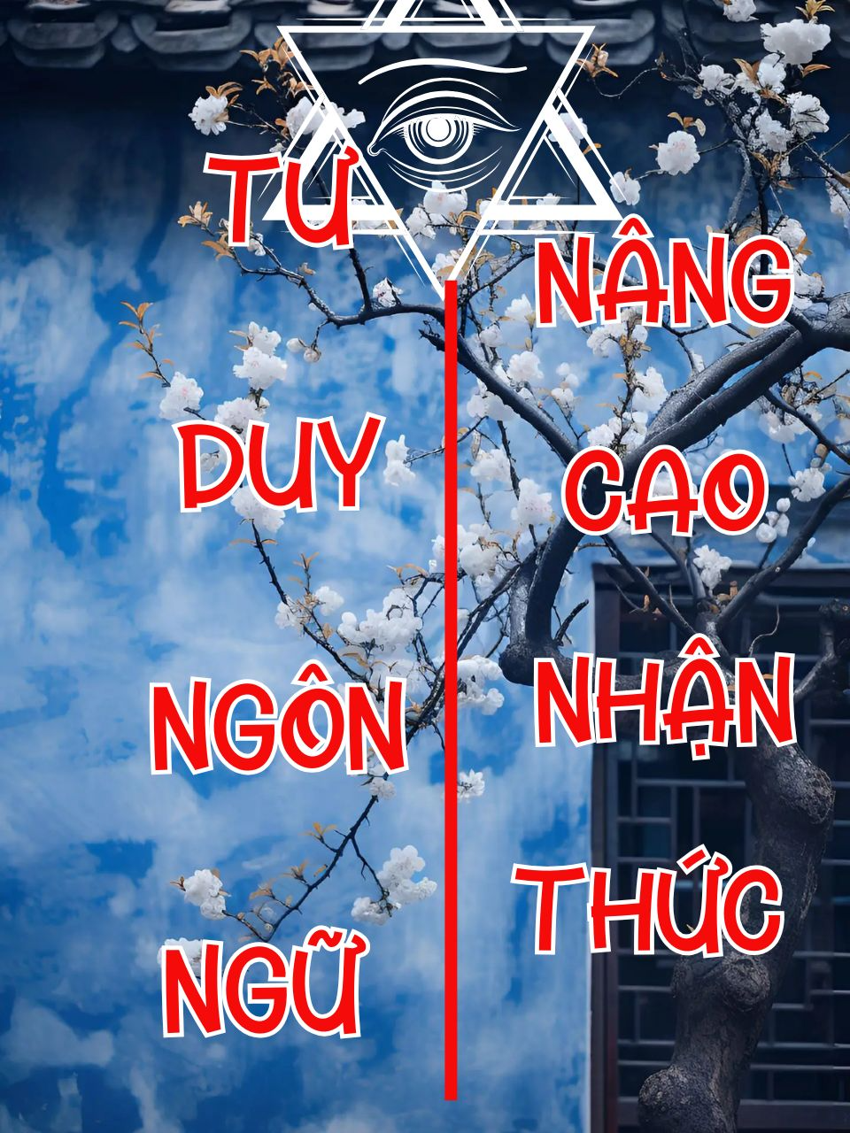 tư duy ngôn ngữ #luatngamtaichinh #hethongmanhme #tuduysausac