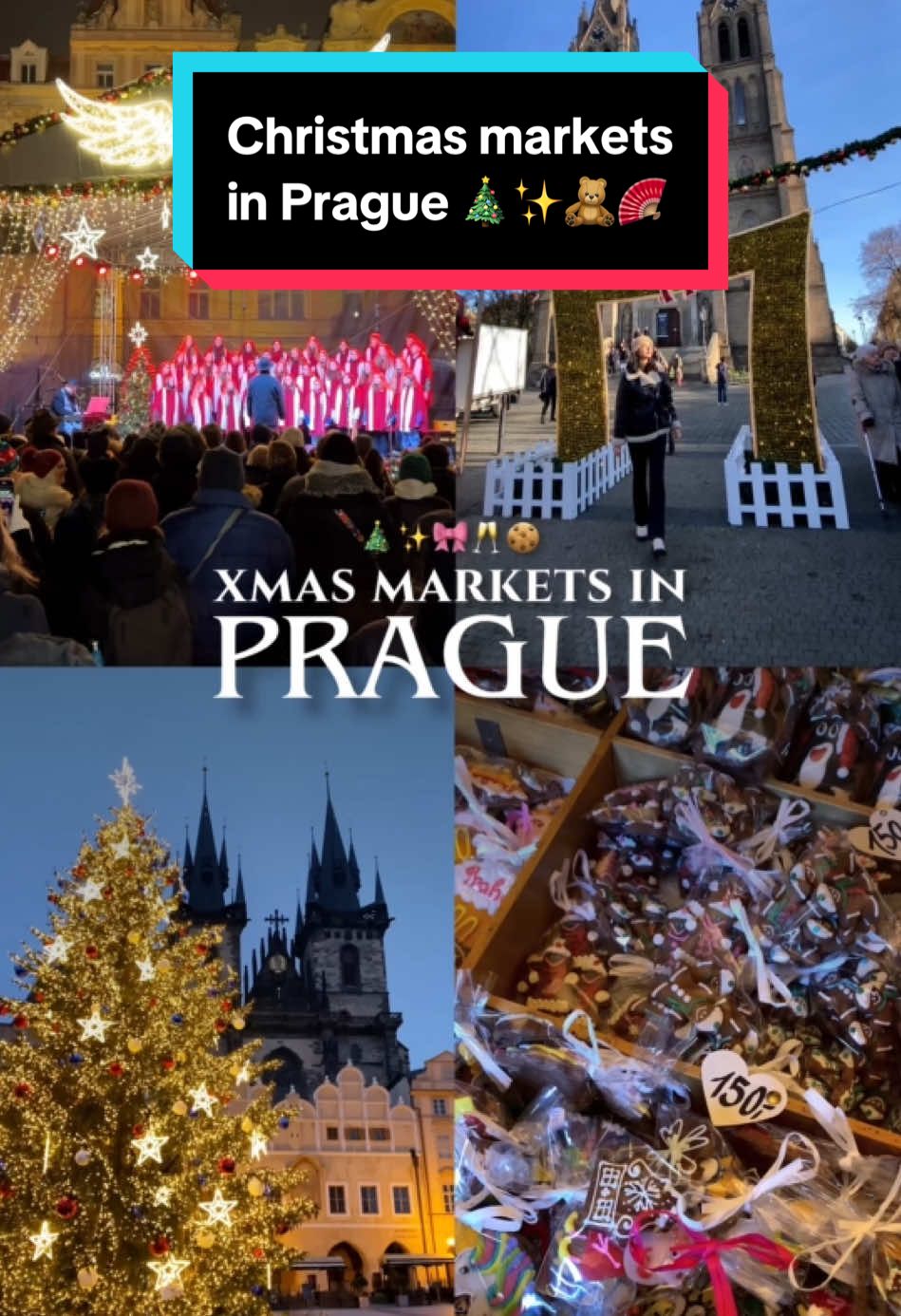 6 must-visit Christmas markets in Prague👇🏼 🎄 Náměstí Míru — set against the stunning backdrop of the Church of St. Ludmila, it is one of the first to open each year. 📍 Prague 2, Vinohrady 📆 until Dec 24 ⏰ Daily: 10 AM to 8 PM 🎄 Mariánské Square — a quieter and more intimate option, this hidden gem is perfect for those seeking a more relaxed market. 📍 Prague 1, Nové Město 📆 until Jan 6 ⏰ Daily: 10 AM to 8 PM 🎄 Old Town Square — boasts a massive Christmas tree, live carols, and a wide variety of food and craft stalls. 📍 Prague 1, Staré Město 📆 until Jan 6 ⏰ Daily: 10 AM to 10 PM 🌭 Food stalls until midnight 🎄 Wenceslas Square — combining a festive atmosphere with the energy of the city center, this market is perfect for grabbing holiday gifts. 📍 Prague 1, Nové Město 📆 until Jan 6 ⏰ Daily: 10 AM to 10 PM 🌭 Food stalls until midnight 🎄 Tylovo Náměstí — smaller and less touristy, this market is a treasure trove for traditional Christmas goods and local delicacies. 📍 Prague 2, Vinohrady 📆 until Dec 24 ⏰ Daily: 10 AM to 8 PM 🎄 Na Kampě Square — nestled near the picturesque Charles Bridge, this market offers scenic views alongside traditional Czech food and drinks. 📍 Praha 1, Malá Strana 📆 until Jan 6 ⏰ Daily from 10 AM to 8 PM 🎄 Náměstí Republiky — located in front and next to the Palladium shopping center, this market is a cute one to explore. 📍 Prague 1, Staré Město 📆 until Jan 6 ⏰ Daily from 10 AM to 10 PM Planning on visiting Prague soon? Save this reel and follow @thetravellingfrenchy for the best local tips! You can also find a full guide in the link in my bio 🫶🏼 📽️ Some of the clips in this video were taken by the lovely @Alyssa • Food Travel • Expat ✨   #christmasinprague #praguelife #praguechristmasmarket #vanoce #veselevanoce #vanocnitrhy #praguecity #visitcz #visitprague #prague #praha #praguecity #namestimiru #christmasmarket #christmasineurope #prague2024 Christmas in Prague • Prague weather • Winter activities in Prague • December in Prague • What to do in Prague • Prague recommendations • Local experiences in Prague • Christmas markets in Prague Copyright ©️ no reposts. Contact me for licensing. Sharing to stories is fine.